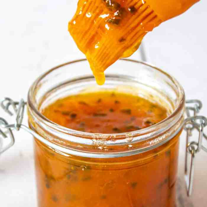 Recipe apricot sauce