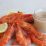 Recipe for Seafood Cocktail Sauce