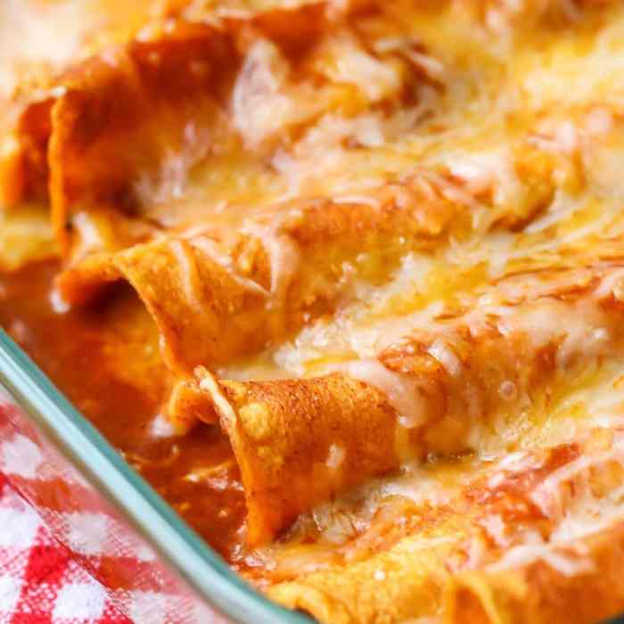 Enchiladas chicken enchilada sauce red homemade recipe recipes oven quarters leg meal barbecued plan bunny warm