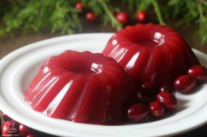 Recipe with jellied cranberry sauce can