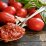 Recipe for Marinara Sauce Using Tomato Paste